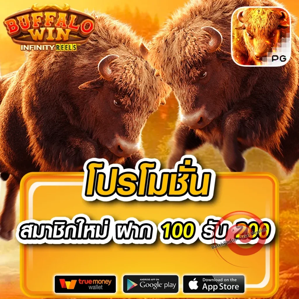 kaithong 999 จ่ายหนัก